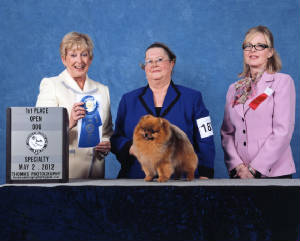 apcspeciality1stplacedesmoines2012reduced.jpg